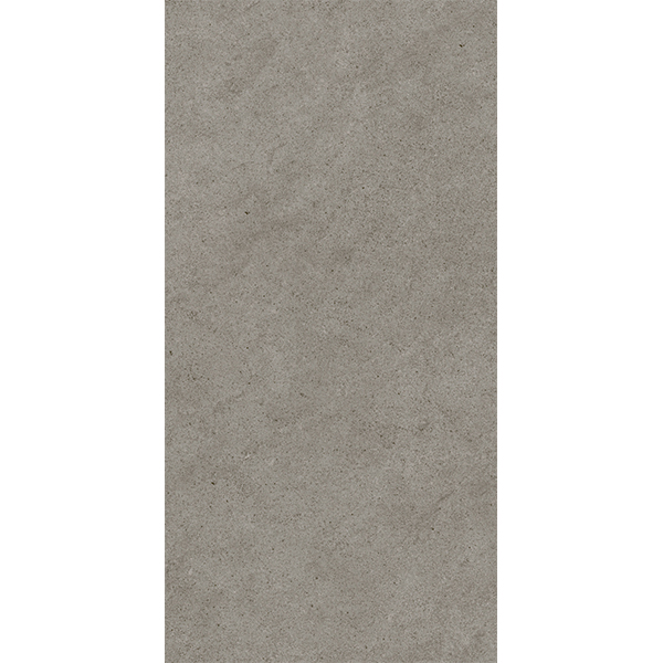 Habitat Deserts Dark Grey 25x50